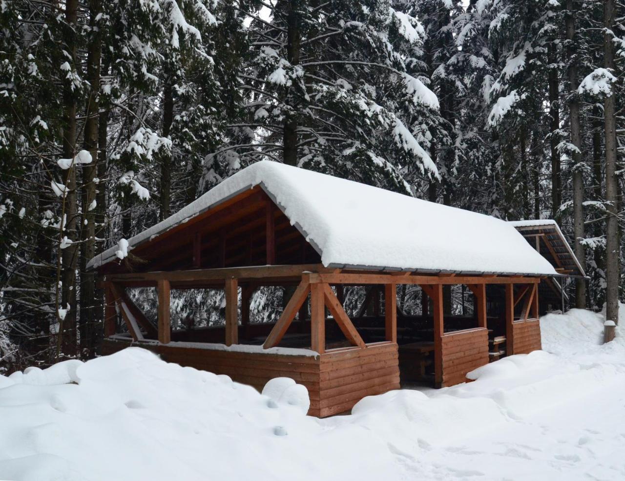 Hotel Zelenyy Bir à Skhidnytsia Extérieur photo