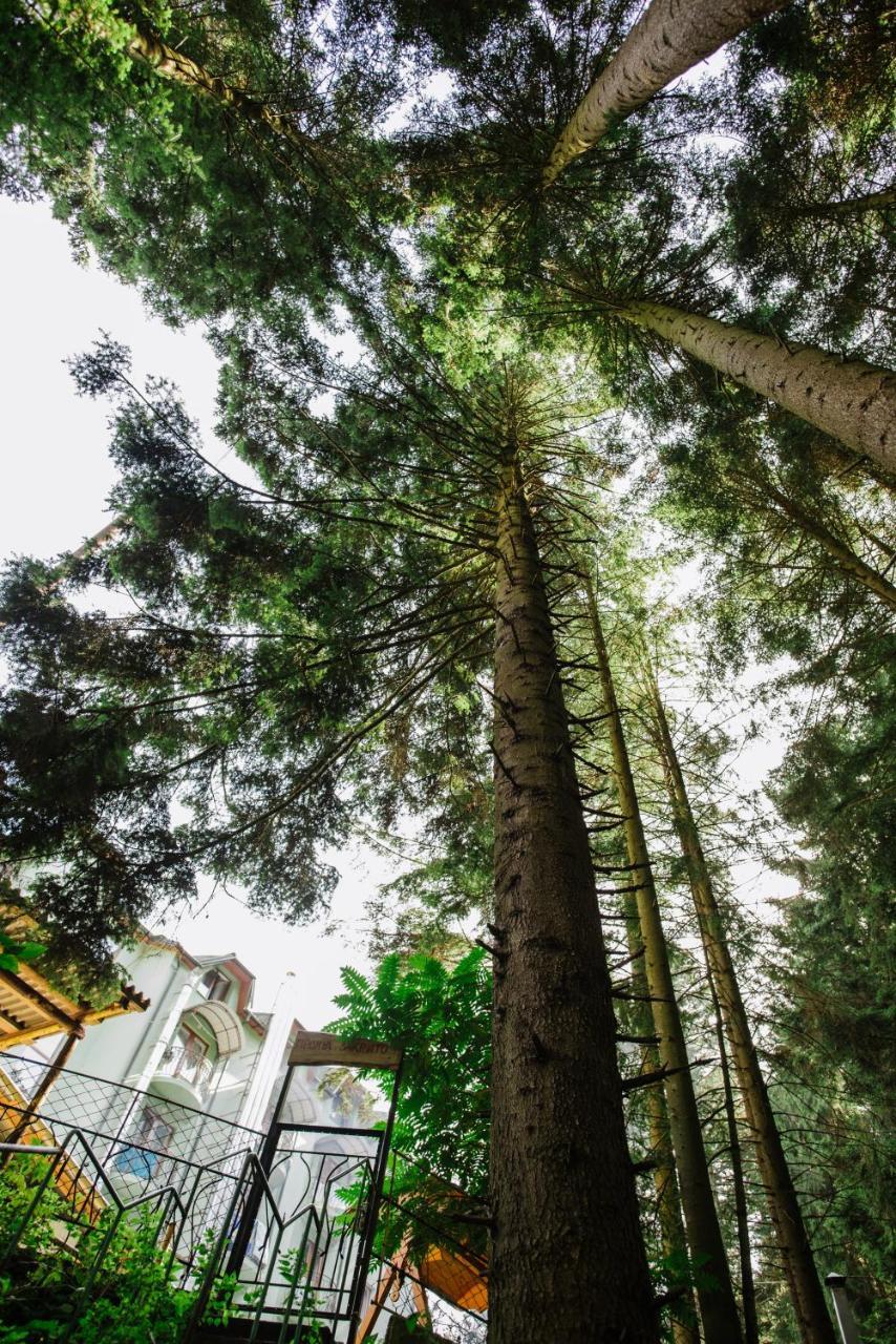 Hotel Zelenyy Bir à Skhidnytsia Extérieur photo